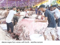 চট্টগ্রামে কোরবানির পশুর চামড়া সংগ্রহে ব্যবসায়ীদের শঙ্কা 