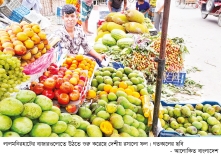 মধুমাসে জমে উঠেছে ফলের বাজার, বাড়ছে বাণিজ্যিক চাষ 