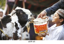মানবসভ্যতায় কোরবানির ঐতিহ্য বনি ইসরাইলের গাভি কোরবানি  
