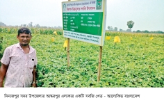 নিরাপদ উচ্চমূল্যের সবজি আবাদে লাভবান কৃষক    