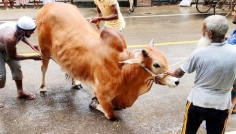 আত্মত্যাগে মহিমান্বিত পবিত্র ঈদুল আজহা আজ