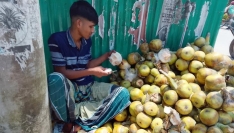 হোসেনপুরে গরমে বাড়ছে কাঁচা তালের শাঁসের কদর