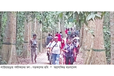 লাউয়াছড়াসহ বিভিন্ন স্পটে পর্যটকদের ঢল 