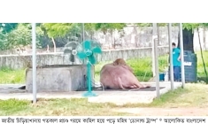গরমে কাহিল ‘ডোনাল্ড ট্রাম্প’ বসানো হলো দুটি ফ্যান  