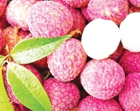 খালি পেটে লিচু খেলে ক্ষতি  