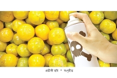 ফলে ফরমালিন মেশানো নিষেধ  