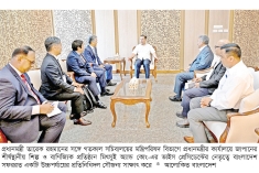 প্রধানমন্ত্রীর সঙ্গে সাক্ষাৎ জাপানি প্রতিনিধিদলের  