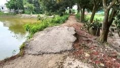উল্লাপাড়ায় ২ কিলোমিটার সড়ক বেহাল, দুর্ভোগে এলাকাবাসী