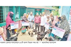 লালমোহনে ছাগল বিতরণ  