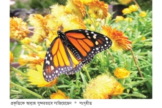 প্রকৃতি যার অপরূপ শিল্প  
