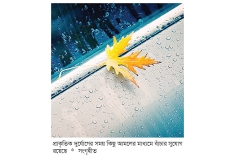 বৃষ্টিতে আল্লাহর আশ্রয়ের গুরুত্ব  