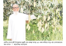 এক বাগানে ১০২ জাতের আম  