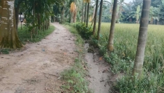 সরকারি রাস্তা দখল করে ড্রেন নির্মাণের অভিযোগ, দুর্ভোগে এলাকাবাসী