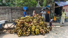 ভ্যাপসা গরমে সিরাজগঞ্জে বাড়ছে তালের আঁশ ও আঁখের রসের চাহিদা