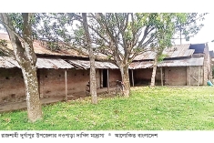 নওপাড়া দাখিল মাদ্রাসা ২৫ বছরেও হয়নি এমপিওভুক্ত  