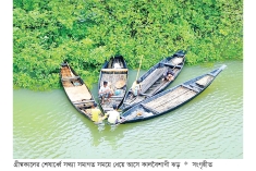 অপরূপ প্রকৃতির বাংলাদেশ  