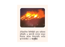 প্রাচীন খ্রিষ্টান গ্রাম তাইবেতে আগুন ইসরায়েলিদের  