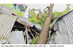 কুষ্টিয়ায় দুই মিনিটের ঝড়ে লণ্ডভণ্ড তিন গ্রাম  