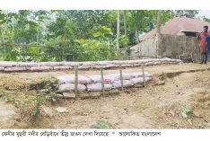 স্বেচ্ছাশ্রমে বাঁধ রক্ষার চেষ্টা ৫০০ পরিবার আতঙ্কে  