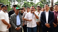 আসুন সন্তানদের বুক ভরে শ্বাস নিতে একটি করে গাছ লাগাই: প্রধানমন্ত্রী