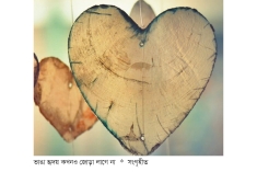দাম্পত্যে ব্যর্থতার কারণ  
