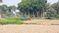 চুয়াডাঙ্গা সীমান্তে ৩ নারীসহ ১৪ জনকে পুশইনের চেষ্টা, বিজিবির প্রতিরোধ