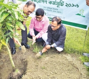 দাশেরকান্দি পয়ঃশোধনাগারে ওয়াসার বৃক্ষরোপণ কর্মসূচি  