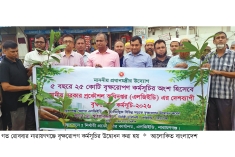 নারায়ণগঞ্জে এলজিইডির বৃক্ষরোপণ কর্মসূচি উদ্বোধন  