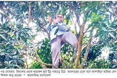 আমগাছে উঠে অনলাইনে হাজিরা দিলেন শিক্ষক   