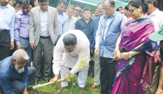 বাউবিতে দীর্ঘমেয়াদি বৃক্ষরোপণ কর্মসূচির উদ্বোধন  