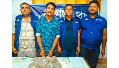 হাজীগঞ্জে ১২০০ গ্রাম গাঁজাসহ মাদক কারবারি গ্রেফতার