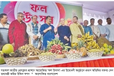 ফল উৎসবের সংস্কৃতি তৃণমূল পর্যায়ে ছড়িয়ে দিতে হবে  