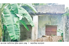 খোকসায় গবাদিপশুর কৃত্রিম প্রজননকেন্দ্র ২৪ বছর ধরে বন্ধ  