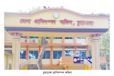 জনবল সংকটে চুয়াডাঙ্গার প্রাণিসম্পদ অফিস  
