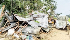 নেত্রকোণার দুর্গাপুরে ঘূর্ণিঝড়ের তাণ্ডব, বিধ্বস্ত ১০টি বসতঘর