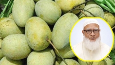 সংসদের সবাইকে ১০ কেজি করে আম উপহার দিলেন জামায়াত আমির