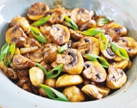 মাশরুম কতটা নিরাপদ  