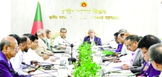 ডেঙ্গুসহ মশাবাহিত অন্যান্য প্রতিরোধ বিষয়ক জাতীয় কমিটির সভা  