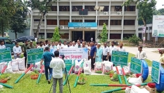 পীরগঞ্জে মৎস্য চাষিদের মাঝে চুন, বীজ ও খাদ্য বিতরণ