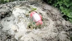 দামুড়হুদায় ‘জয় বাংলা’ লেখা বোমাসদৃশ বস্তু উদ্ধার, এলাকায় চাঞ্চল্য
