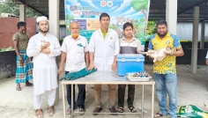 ঈশ্বরগঞ্জে বিড়ালের ক্যাটফ্লু ভ্যাকসিনেশন কার্যক্রম শুরু