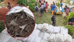 সিরাজগঞ্জে ভেজাল সার বিতরণে তিন সদস্যের তদন্ত কমিটি গঠন