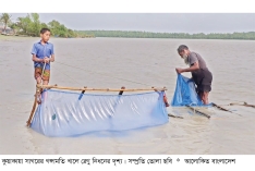 রেণু পাচার, হুমকিতে দক্ষিণাঞ্চলের মৎস্যসম্পদ  