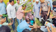 জিয়ার পরিকল্পিত কাজ এগিয়ে নিচ্ছেন তারেক রহমান: নোয়াখালীতে বুলু