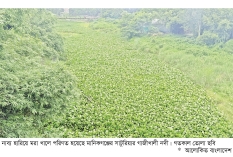 ভরা বর্ষাতেও গাজীখালী নদীতে পানি নেই, পানার স্তূপে প্রবাহ বন্ধ  
