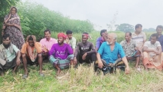 হাইব্রিড ধানের ফলন বিপর্যয়ে চাঁদপুরে কৃষকের মাথায় হাত