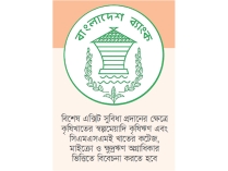 খেলাপি ঋণের লাগাম টানতে বাংলাদেশ ব্যাংকের ‘ওয়ান টাইম এক্সিট’ সুবিধা চালু  