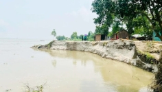 নাগরপুরে যমুনার ভয়াবহ ভাঙন, নদীগর্ভে অর্ধশত বসতবাড়ি