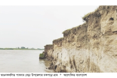 যমুনায় ভাঙন অব্যাহত, ঝুঁকিতে ফসলি জমি ও স্থাপনা  