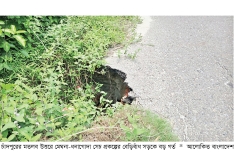 খানাখন্দে বেহাল মেঘনা-ধনাগোদা বেড়িবাঁধ সড়ক  
